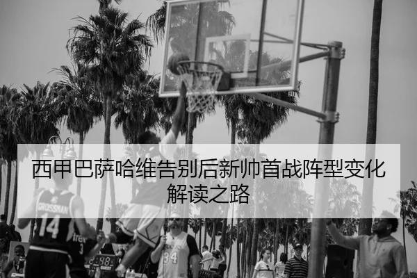 xi-jia-ba-sa-ha-wei-gao-bie-hou-xin-shuai-shou-zhan-zhen-xing-bian-hua-jie-du-zhi-lu-2-733.jpg